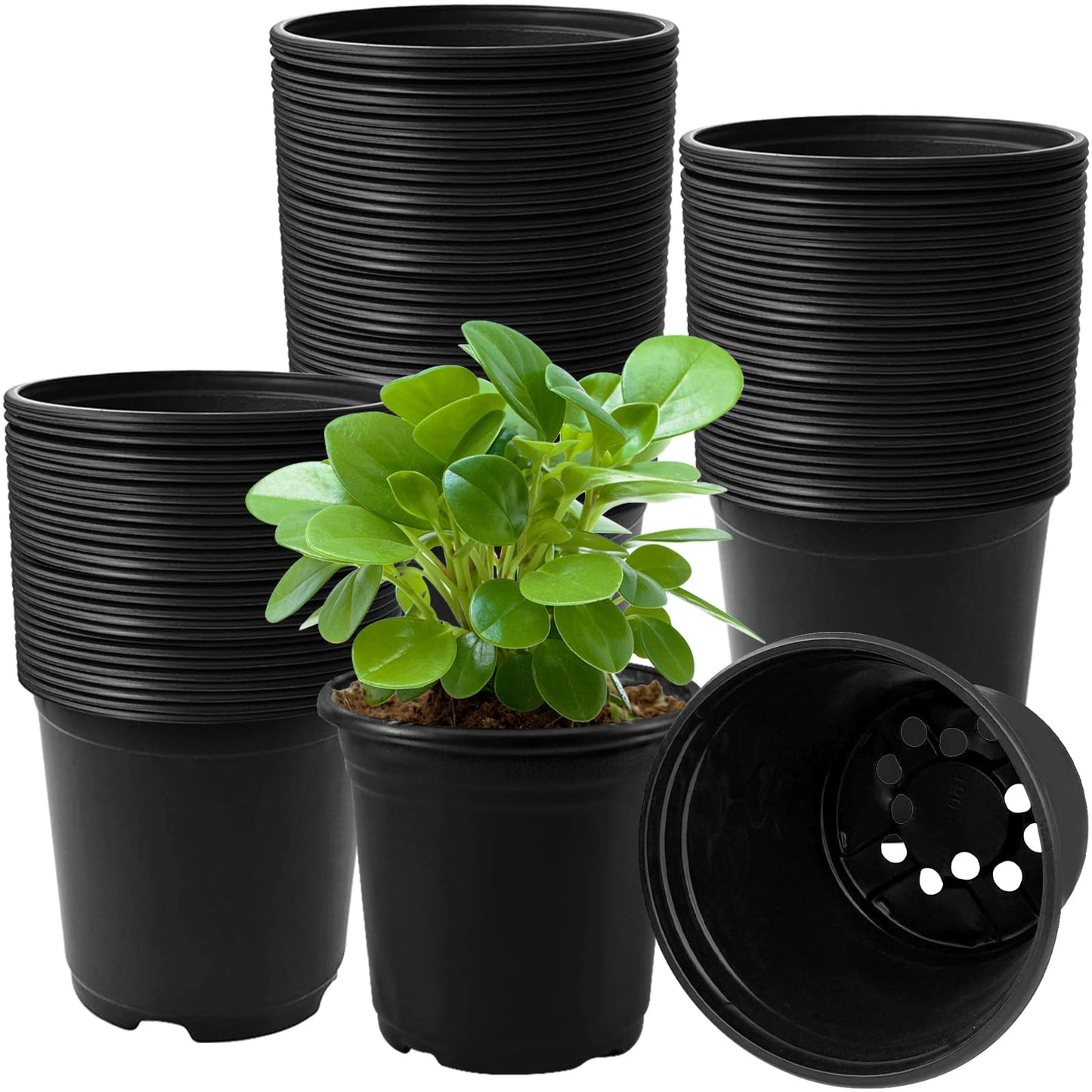 OJYUDD 120 Pcs 0.5 Gallon Black Plastic Plant Nursery Pots,Plant Seedling Pots with Drainage Holes,Black Flower Planting Container for Seedlings Transplanting,Planting,Succulent