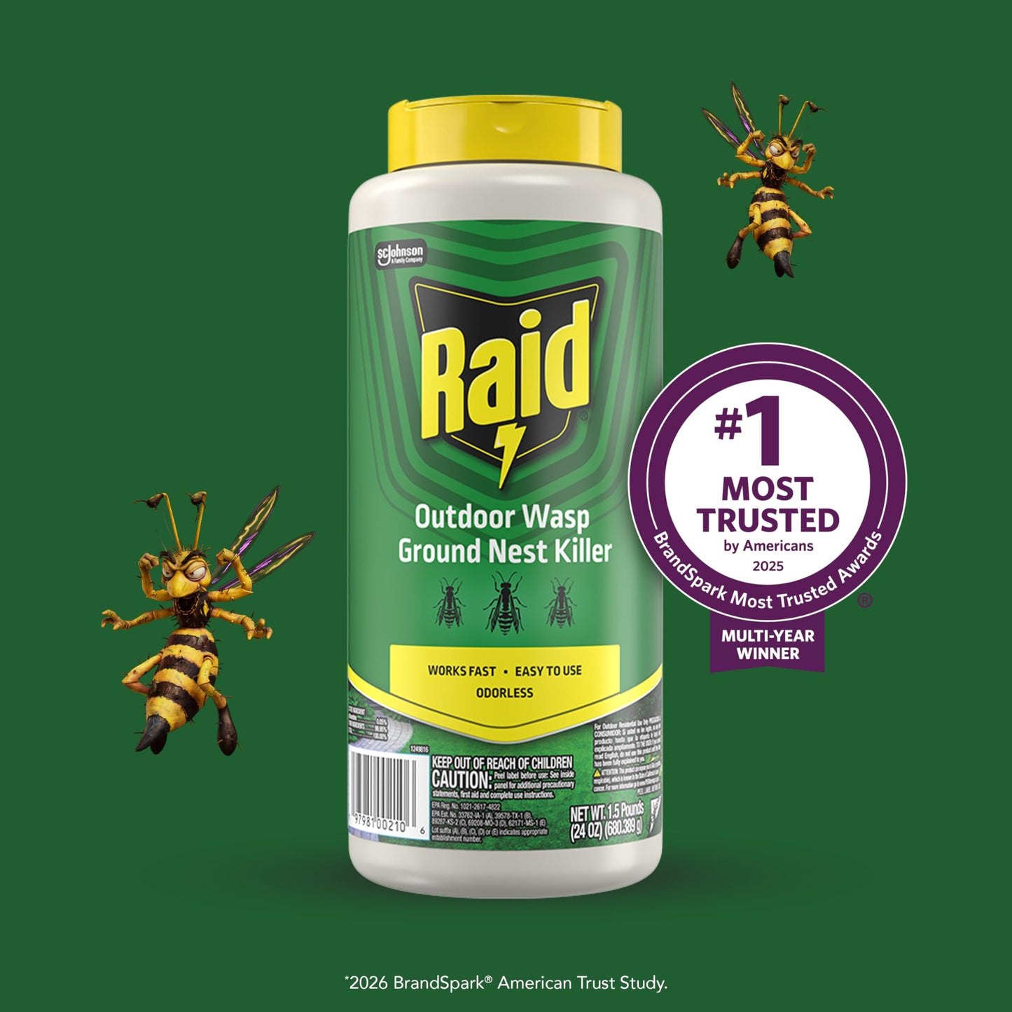 Raid Outdoor Wasp Ground Nest Killer, Dust Insecticide for Outside Household Use on Wasps, Fast-Working, Easy-to-Use and Odorless, 24 oz