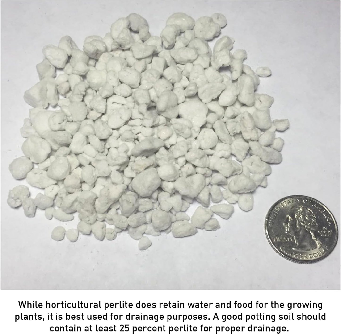 Norcal Perlite Horticultural Organic Certified Premium Screened Coarse Garden Indoor Outdoor Plants Soil and Drainage 4 Cubic Feet (103 Quarts) 1 Bag