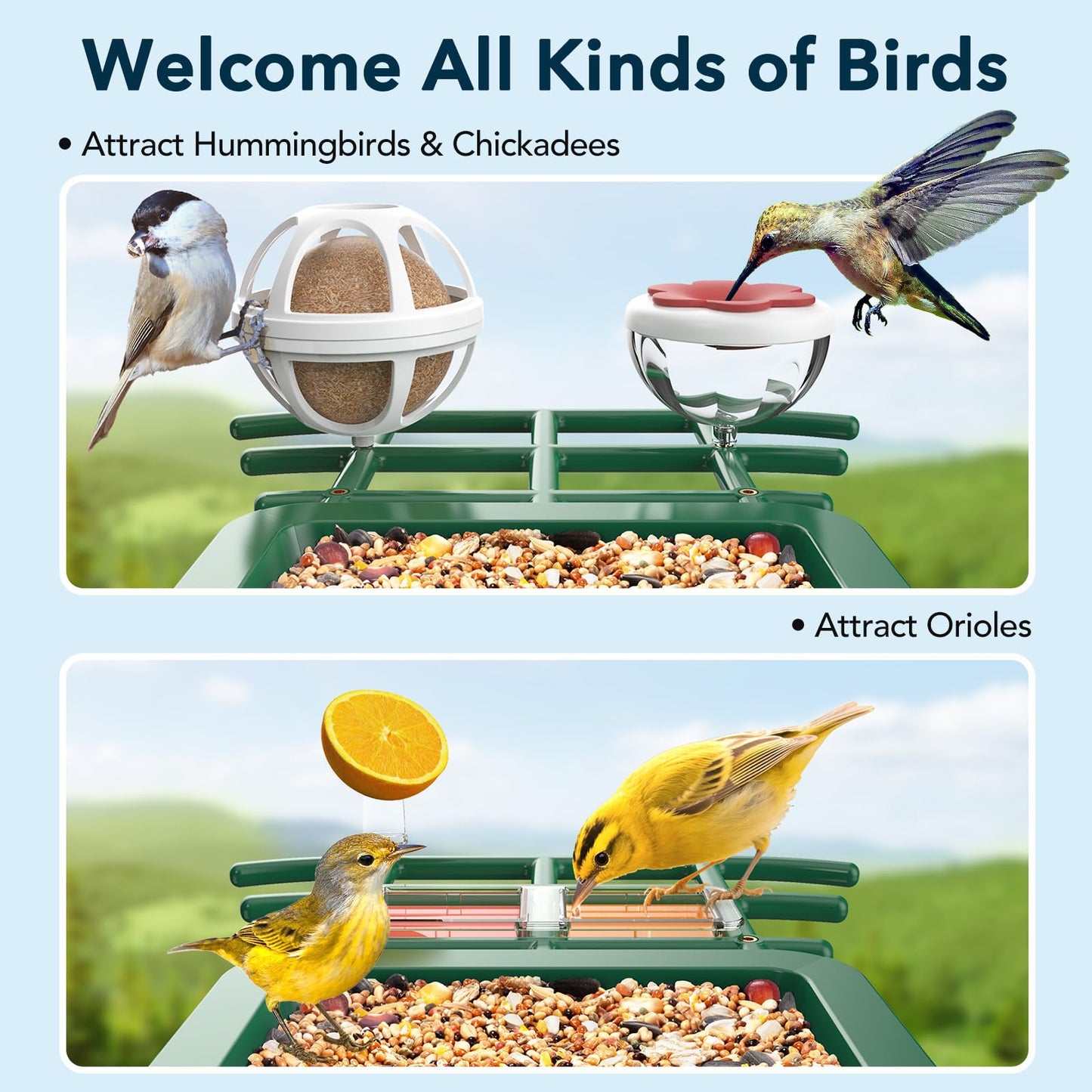 PeckCam Bird Feeder with Camera Solar Powered, AI Identify & Auto Capture with 32GB Card, 2K HD Live Video Smart Bird Feeder Camera Instant Notifications in Backyard, Gift for Bird Lovers