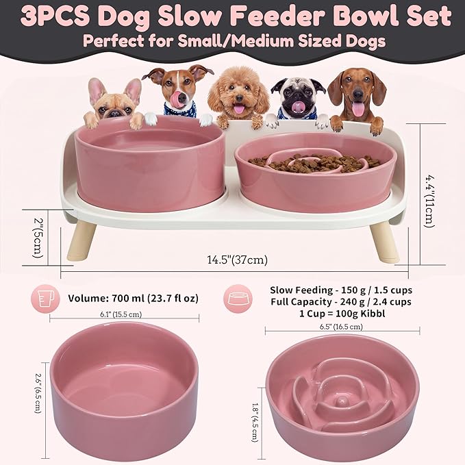 Elevated Slow Feeder Dog Bowls - Ceramic Food and Water Bowl Set with Stand - Raised Pet Dishes for Small and Medium Sized Dogs