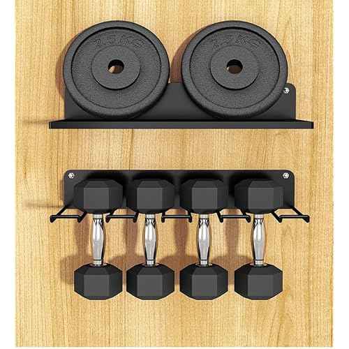 2-Tier Power Tool Organizer, Storage Rack Wall Mount Drill Holder for 4 Power Drill Tools, Space Saving, Utility Storage Rack for Garage, Workshop, Tool Library Etc