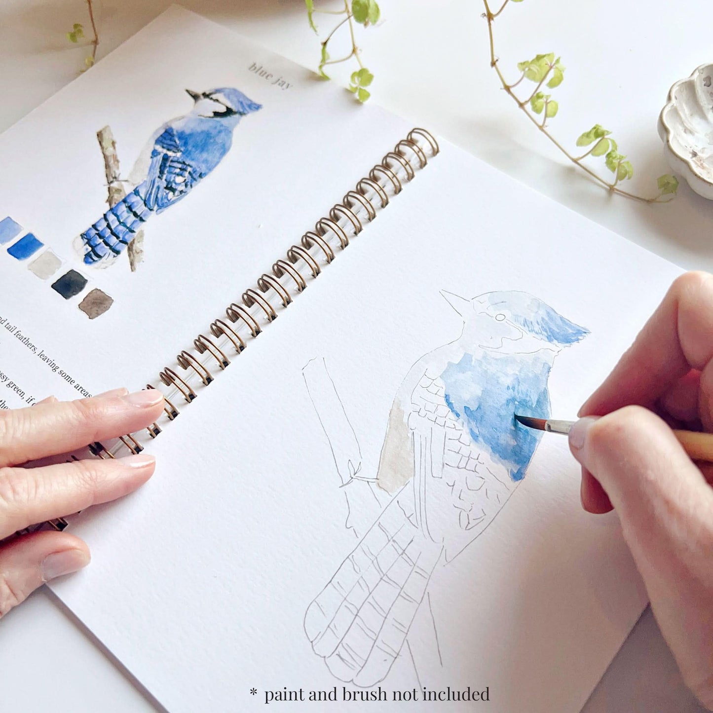 Birds Watercolor Workbook by Emily Lex Studio, 12 Beginner Friendly Sketched Illustrations, Lay Flat Spiral Pages, 6.5 x 9 inch, 120lb Watercolor Paper