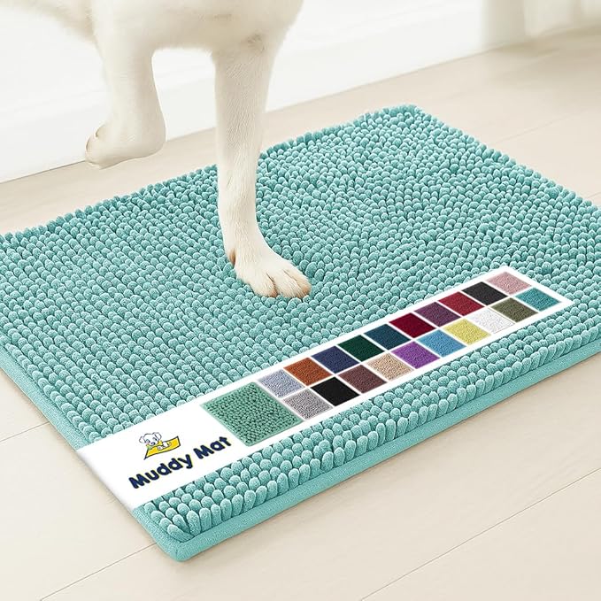 Muddy Mat® | Super Absorbent Door Mat Indoor, Microfiber Quick Dry Chenille Entryway Rug, Non-Slip Front Door Mat, Indoor Mats for Entryway, Machine Washable Pet Rug, Seafoam Green 35"x24"