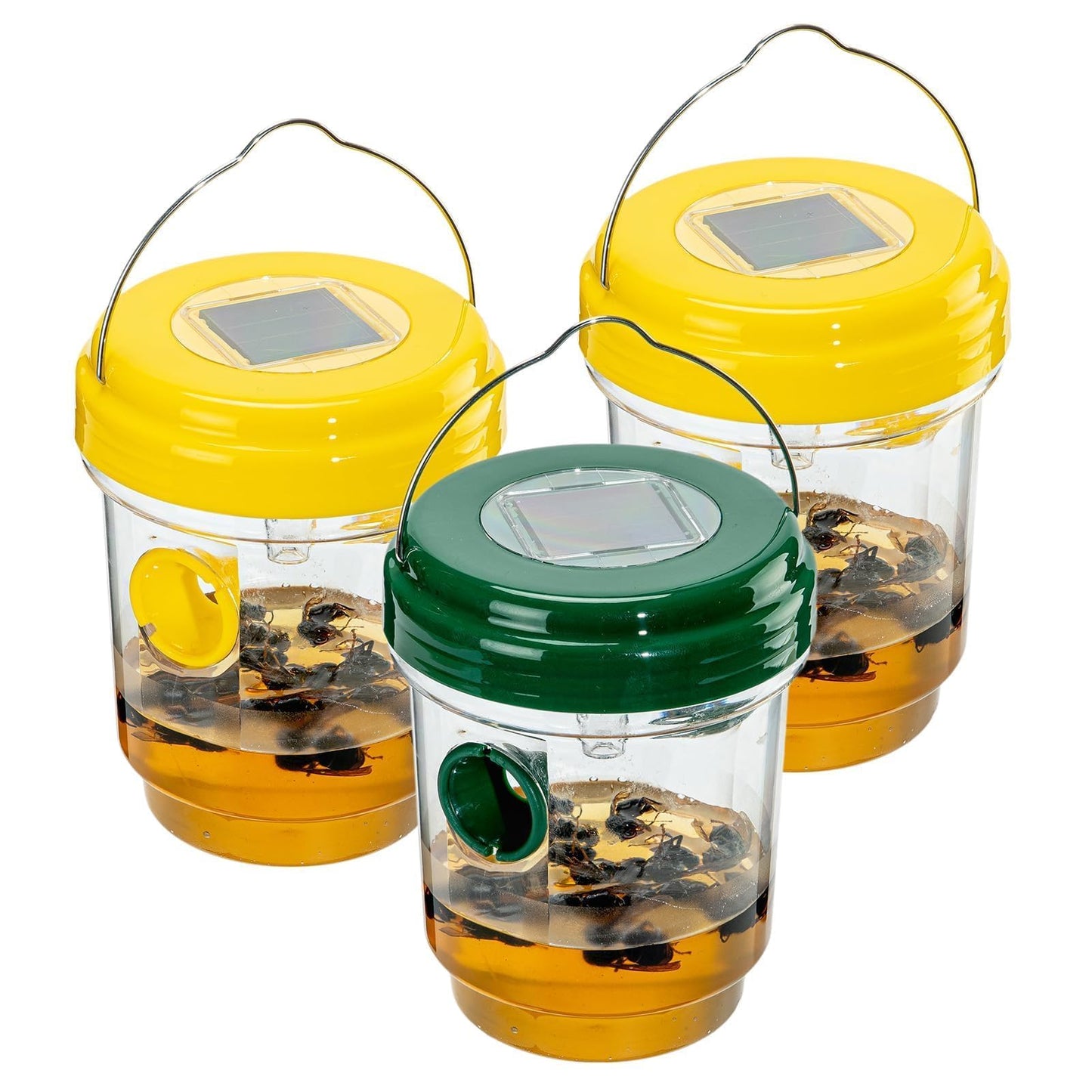 3pc Wasp Traps Outdoor Hanging