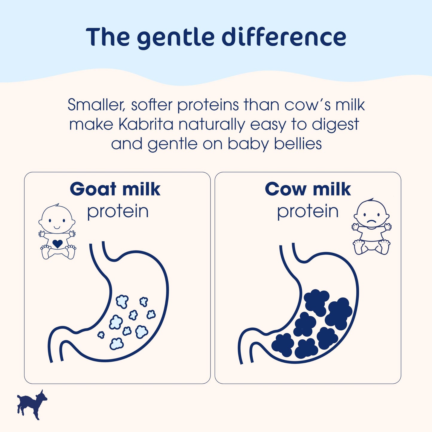 Kabrita Goat Milk-Based Infant Formula Powder, Designed for Gentle Digestion, Gentle Alternative to Cow’s Milk, with Iron, DHA, ARA & Prebiotics, for Infants 0–12 Months, Non-GMO, 14 oz (Pack of 12)