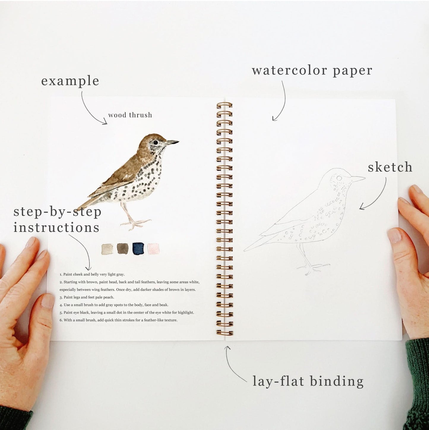 Birds Watercolor Workbook by Emily Lex Studio, 12 Beginner Friendly Sketched Illustrations, Lay Flat Spiral Pages, 6.5 x 9 inch, 120lb Watercolor Paper