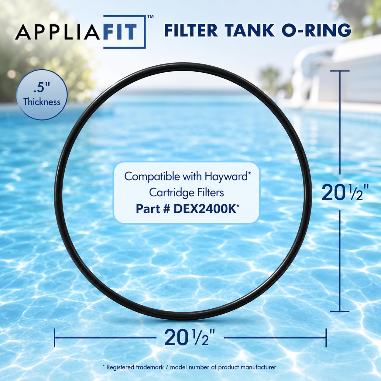 AppliaFit Tank O-Ring Compatible with Hayward DEX2400K for Micro-Clear DE, Pro-Grid DE, Super Star Clear and SwimClear Filters (2-Pack)