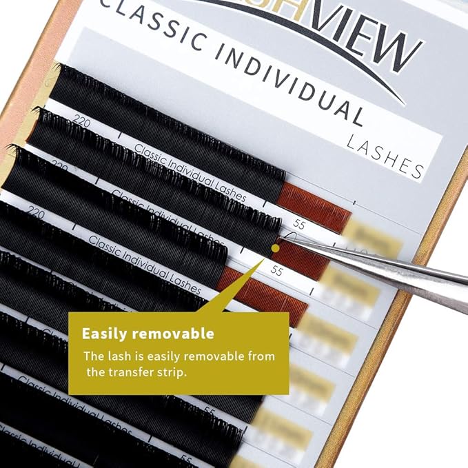 LASHVIEW Semi-Permanent Eyelash Extensions C Curl 10mm 0.20 Thickness Silk Fake Natural Thick Lashes Individual Eyelashes Silk lashes (Salon Use)