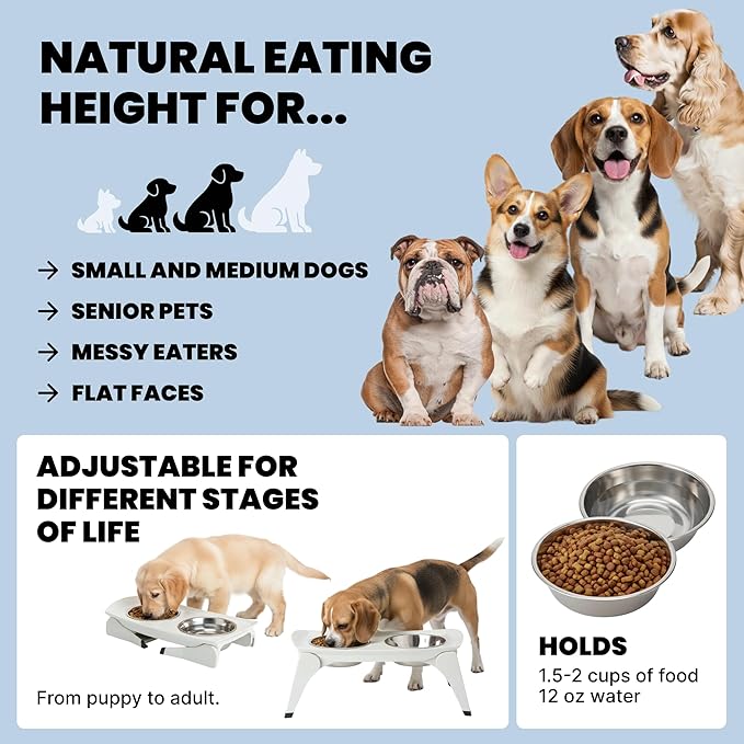 MalsiPree Elevated Dog Bowls for Small Dogs and Cats - 6.5" Raised Feeding Station with Spill-Proof Tray - Foldable Dog Bowl Stand with 2 Stainless Steel Bowls - Modern Scandinavian Pet Feeder, White