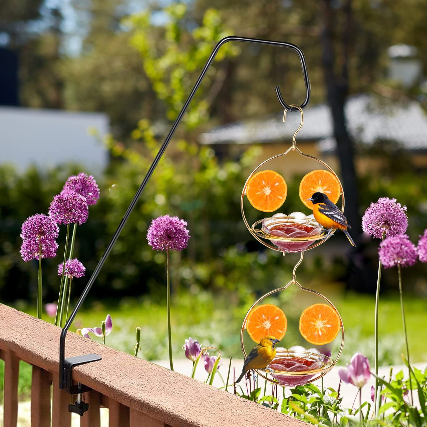 Jealoeur Oriole Feeders for Outdoors Hanging with Fruit Holder, Golden Oriole Feeders, Easy to Disassemble and Wash, Used for Bird Watching in the Courtyard