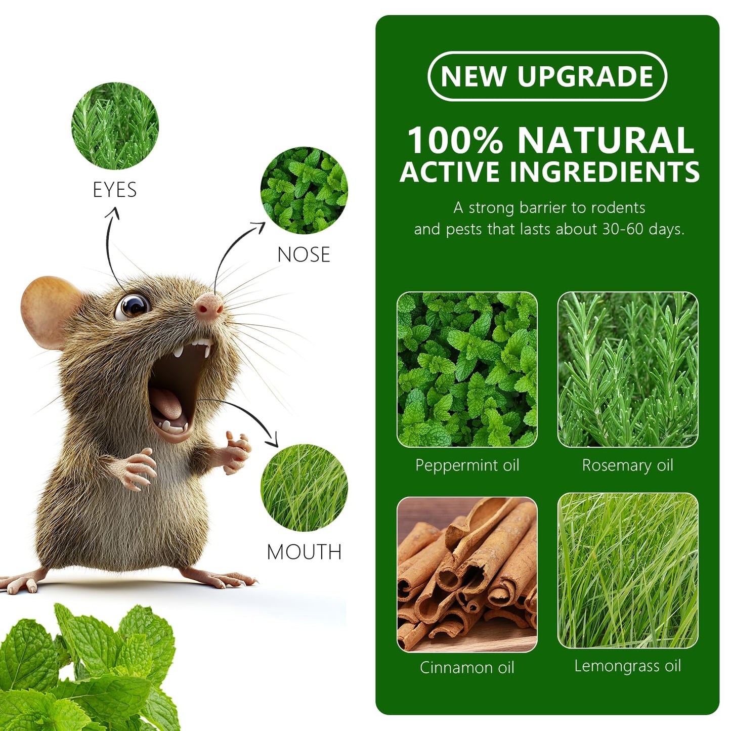 Mouse Rodent Repellent, 20 Pack Peppermint Lemon Oil Mice Repellent for Squirrel Rats Spider Pests, Natural Deterrent for Kitchen, Warehouse, Car, Indoor, Outdoor, Safe for Pets & Family