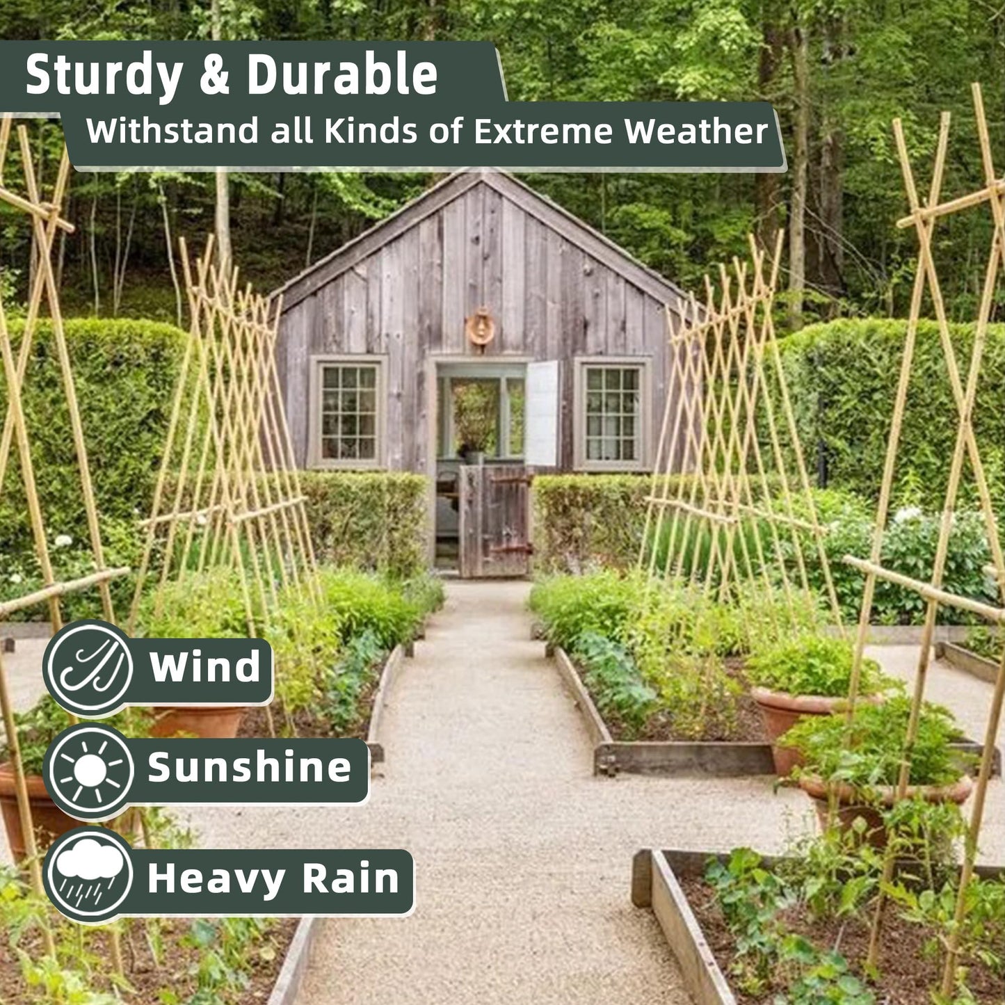50Pcs / 4ft Bamboo Plant Stakes for Indoor Outdoor Plants, Garden Plant Support Sticks, Poles for Tomato Vegetables Beans Trees Potted Climbing Plants(0.32''-0.4'')