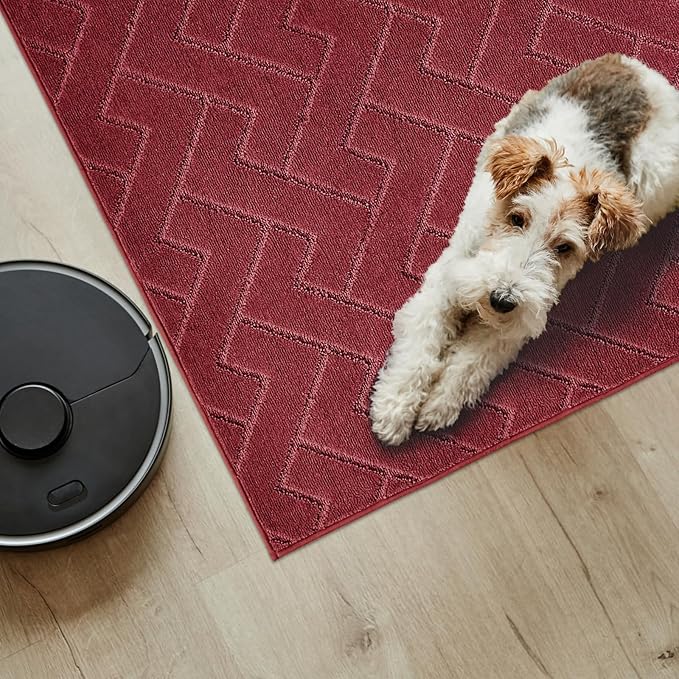 PURRUGS Easy Care Area Rug 4.5ft x 7ft, Non-Slip Machine Washable Entry Rug, Dog Door Mat, Stain Resistant Accent Rug for Hallway, Bedroom, Living Room and Mudroom, Cherry Red
