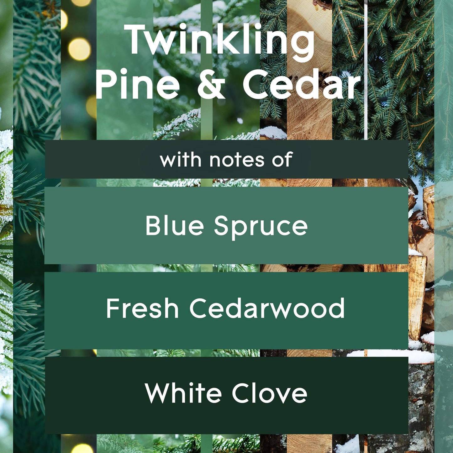 Glade Candle Twinkling Pine & Cedar, Fragrance Candle Infused with Essential Oils, Air Freshener Candle, 3-Wick Candle, 6.8 Oz, 3 Count