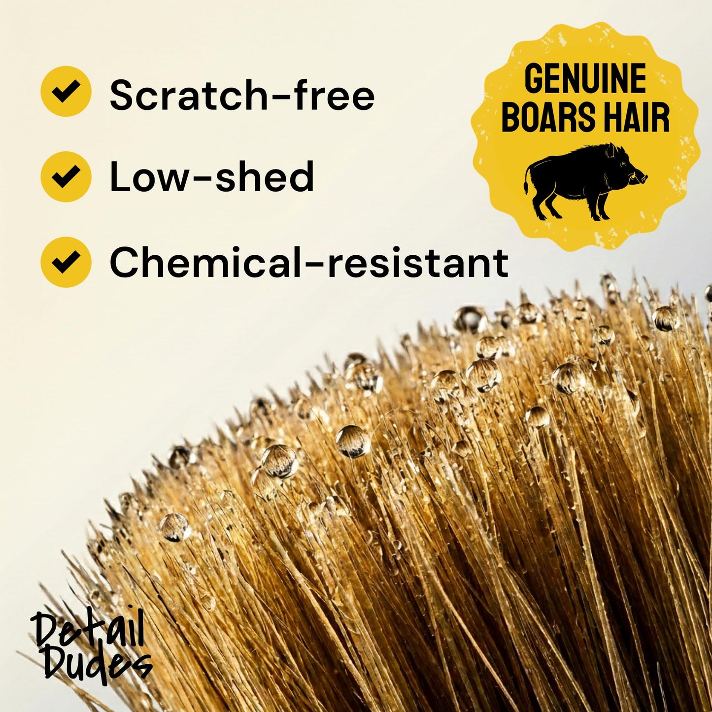 Detail Dudes Soft Boar Hair Car Detailing Brush Set - 6-Pack - Scratch-Free Soft Bristle Cleaning Brushes - Reaches Tight Spots & Interior Car Cleaning Kit - Ergonomic & Durable Detailing Supplies