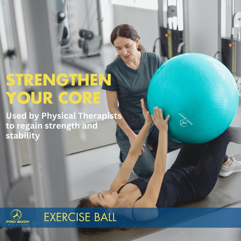 ProBody Pilates Exercise Ball - Multiple Sizes Gym Grade Balance Ball for Fitness, Workout, Pregnancy & Physical Therapy, Stability Yoga Ball Chair (Aqua, 65 cm)