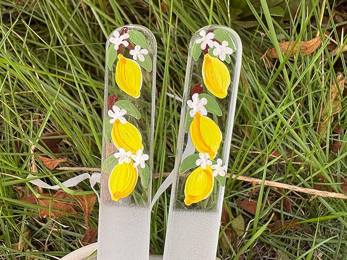 Hand-Painted Glass Nail File Ã¢ÂÂ Czech Crystal Manicure File with Lemon Design, Gentle Durable Nail Care Tool, Gift for Women