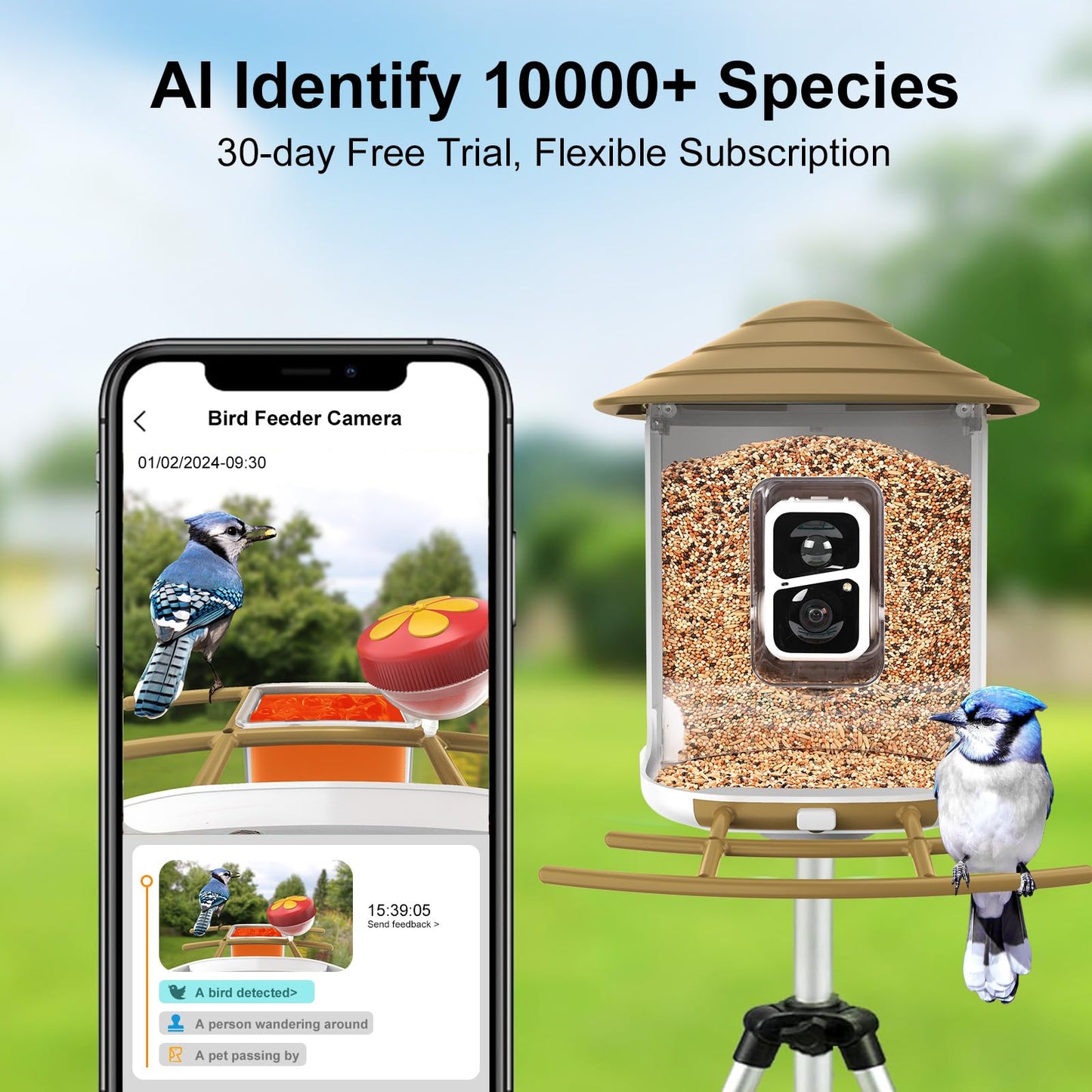 birdsnap® TUC Bird Feeder with Camera 2K HD Live with 32GB Card Auto Detect & Notify AI Identify Camera Birds Feeders Solar Powered Wireless Outdoors Backyard Gift for Mom Dad Birds Lover, 2.4G WiFi
