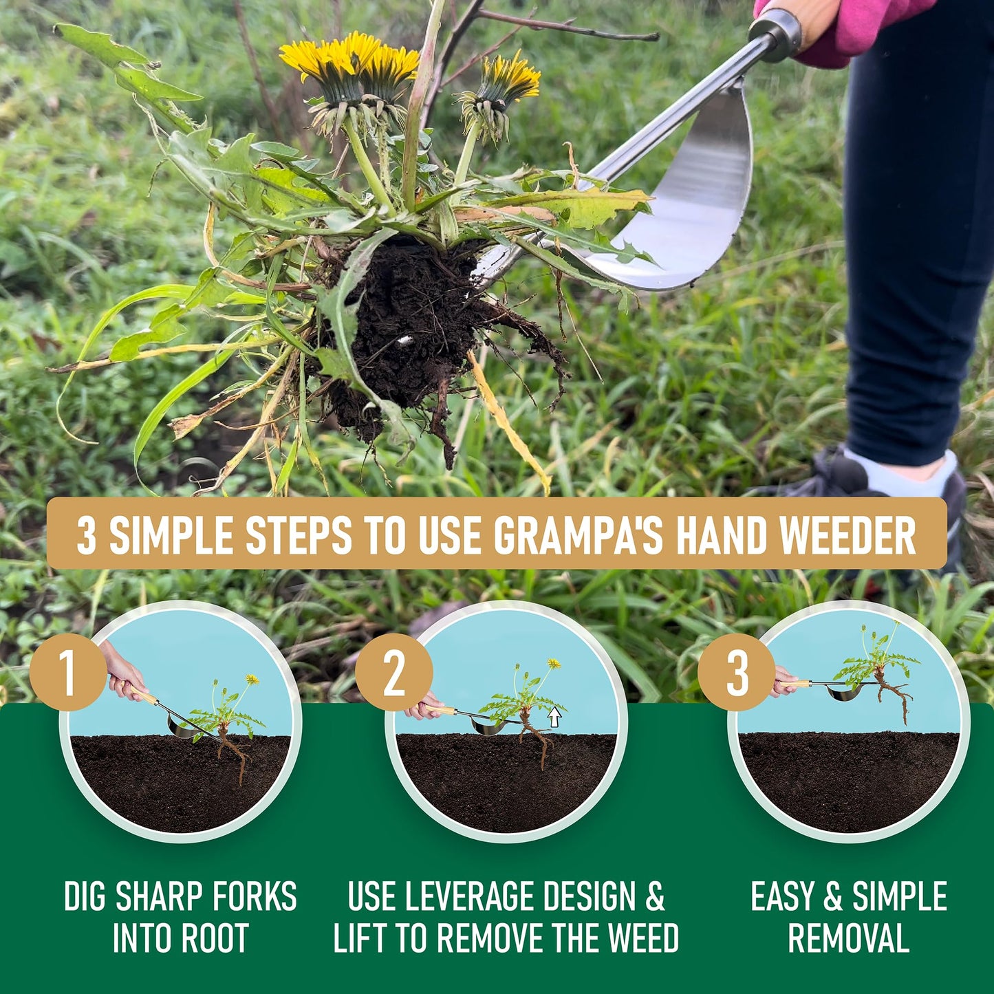 Grampa's Hand Weeder Tool - The Perfect Lightweight Easy to Use Weed Puller Tool for Garden - Durable Unique Lever Design with V-Shaped Forks Allows for Easy Removal of Weeds & Their Roots