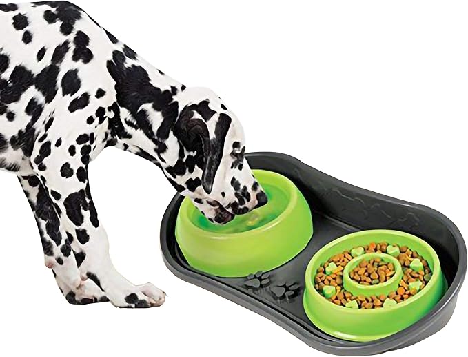 Non-Skid Pet Bowl Tray - with 2 Slow Down Bowls Set - for Small to Medium Dogs - Protects Floor from Food and Water
