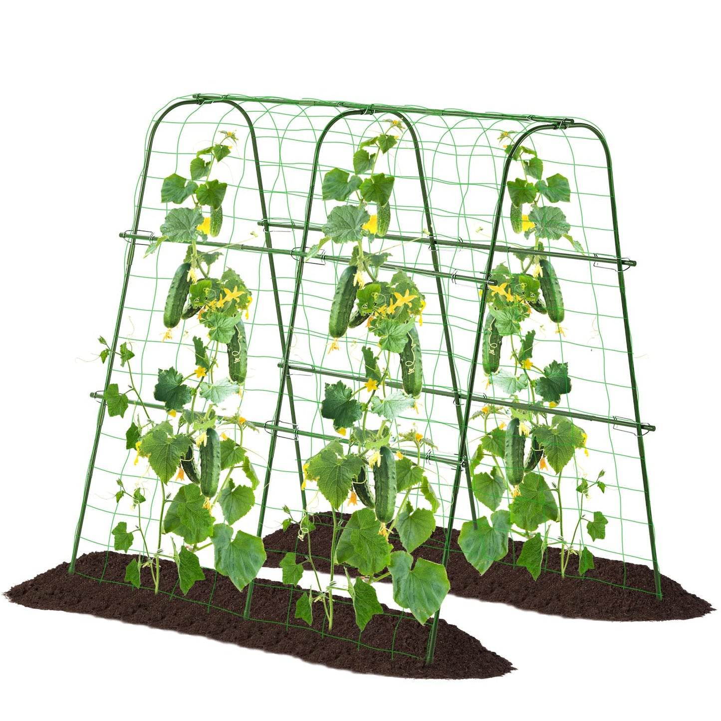 FOLLOOK Garden Cucumber Trellis for Climbing Plants Outdoor, 48x48inch U-Shape Arch Trellis for Garden Raised Bed, Plant Support for Grape Vine Tomato Vegetable Pea Bean, Green