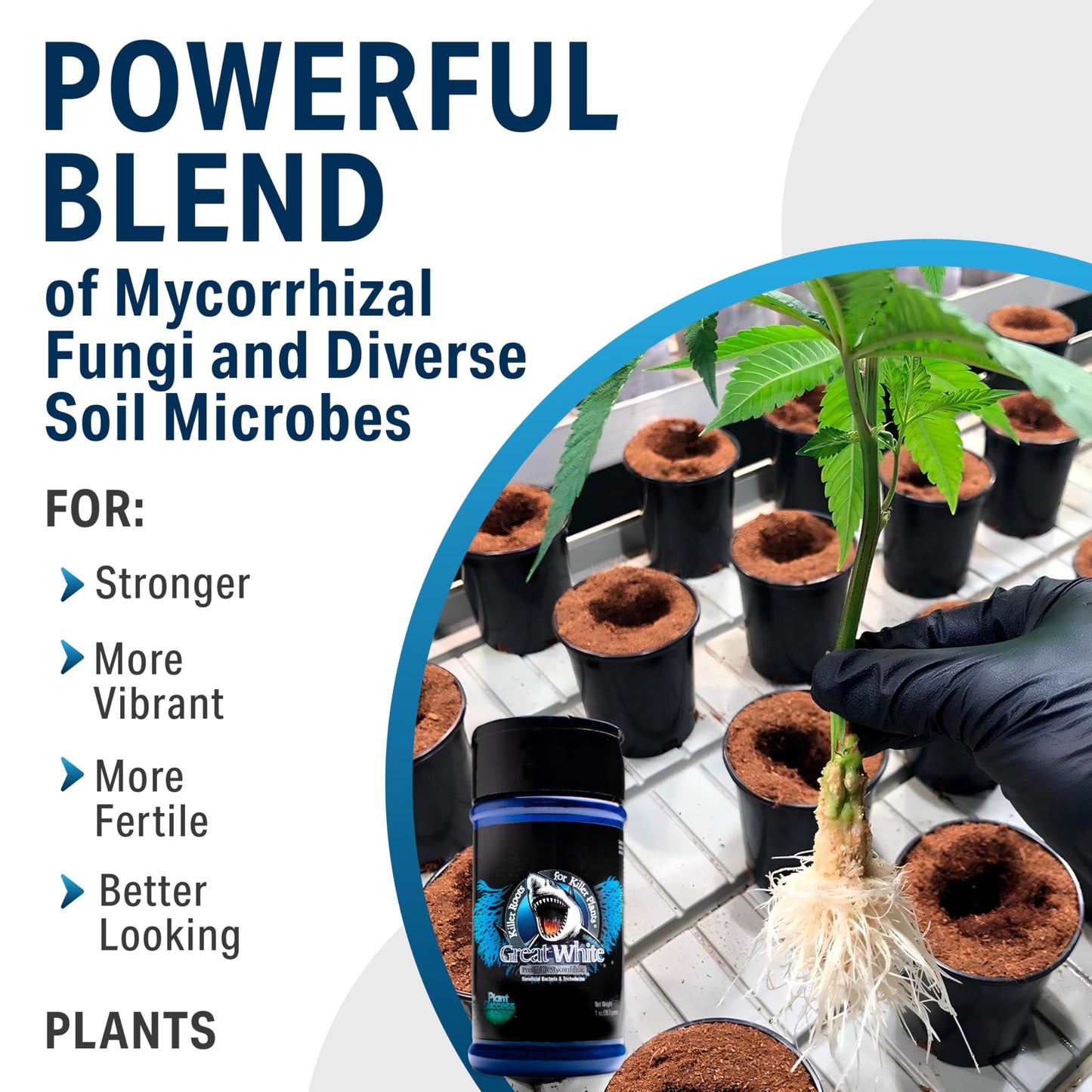 Great White Mycorrhizal Fungi, Beneficial Bacteria for Plant Growth, Root Stimulator, Concentrated 3-in-1 Formula by Plant Success (32 oz)