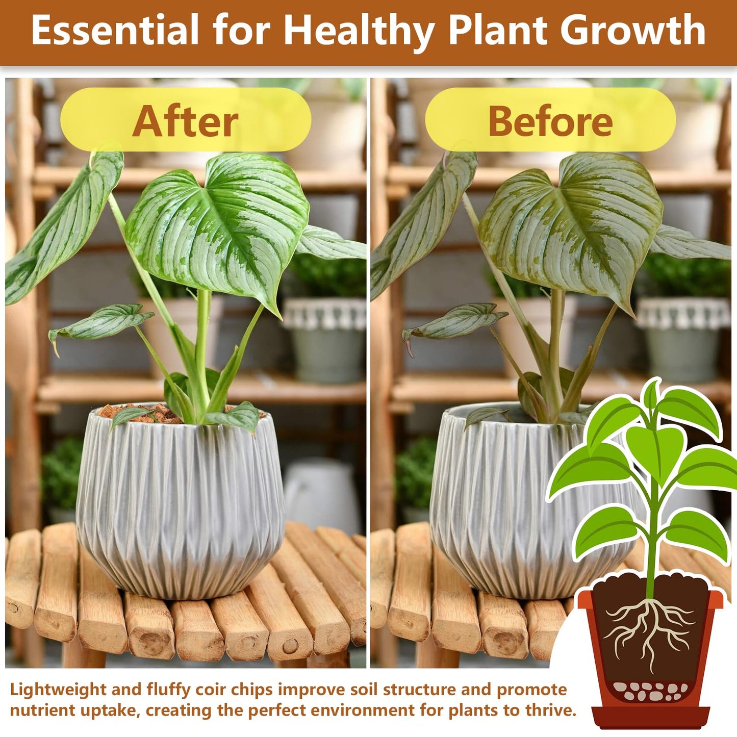 Legigo 10 Pack Coco Coir Chips for Plants- 11 LB 100% Organic Coconut Chips Brick Potting Mix with Low EC & PH Balance, Coconut Husk Substrate Coco Husk Mulch for Garden, Planting, Orchid and Soil Mix
