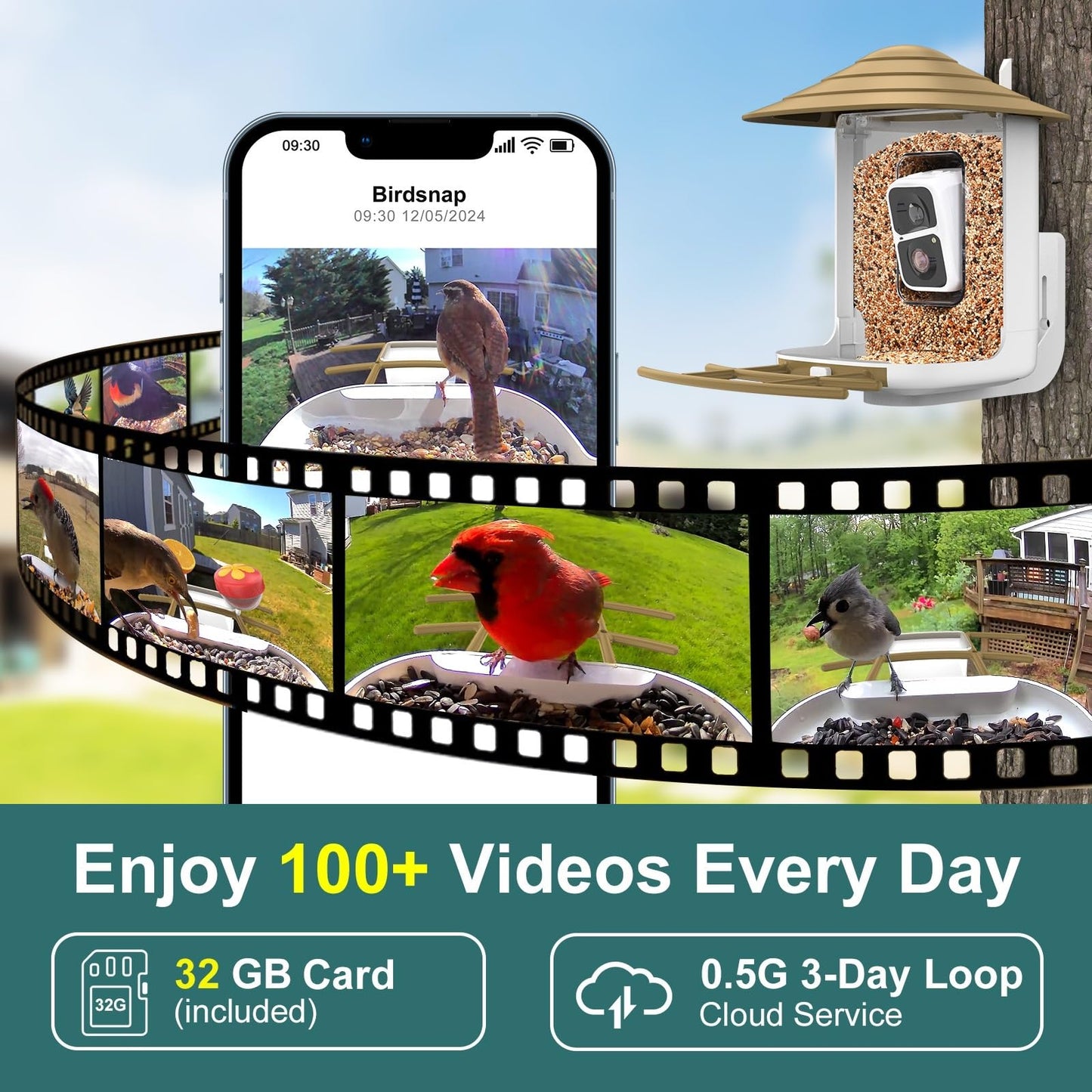 birdsnap® TUC Bird Feeder with Camera 2K HD Live with 32GB Card Auto Detect & Notify AI Identify Camera Birds Feeders Solar Powered Wireless Outdoors Backyard Gift for Mom Dad Birds Lover, 2.4G WiFi