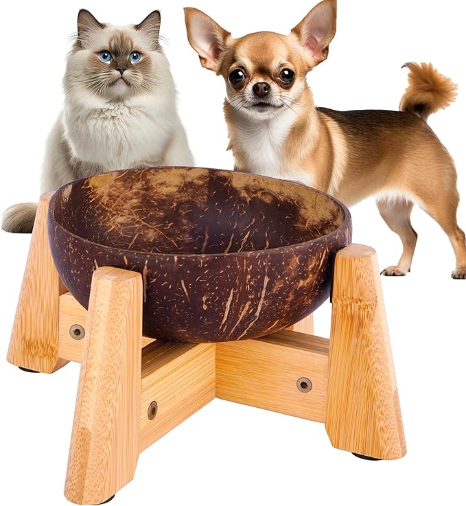 Dog Bowl for Cats and Small Dogs - All-Natural, Polished Coconut Shell Bowl with Wood Stand - Elevated/Raised 5-inch Total Height - Food-Contact Suitable