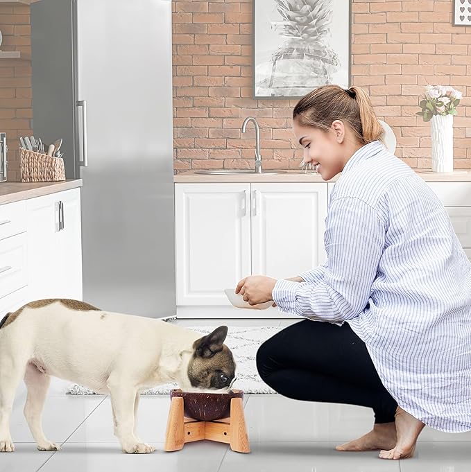 Dog Bowl for Cats and Small Dogs - All-Natural, Polished Coconut Shell Bowl with Wood Stand - Elevated/Raised 5-inch Total Height - Food-Contact Suitable