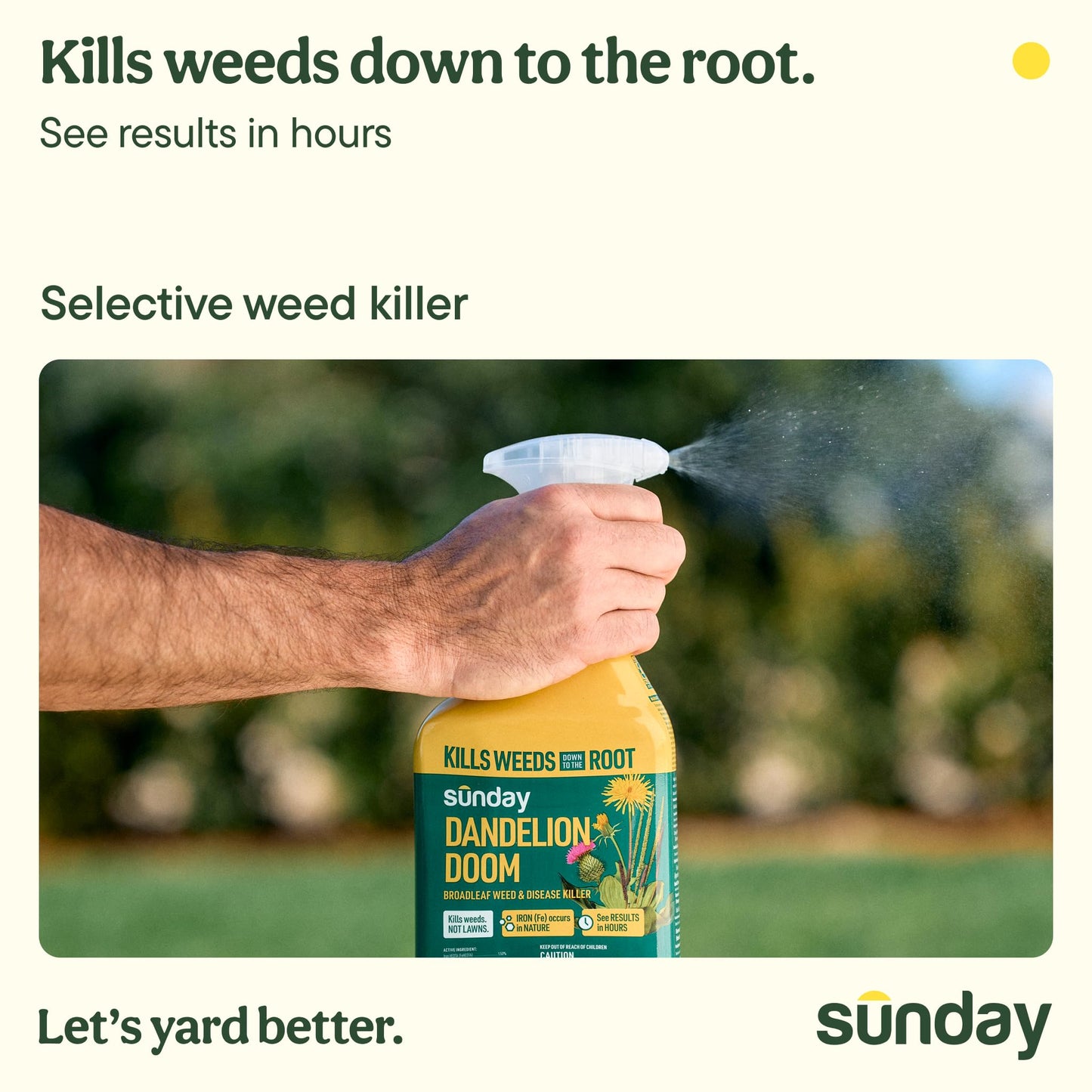 Sunday Dandelion Doom Selective Weed Control - Derived from Iron - Selective Broadleaf Weed Killer Spray - Kills Dandelions, Algae and Moss - 32oz - 2 Pack