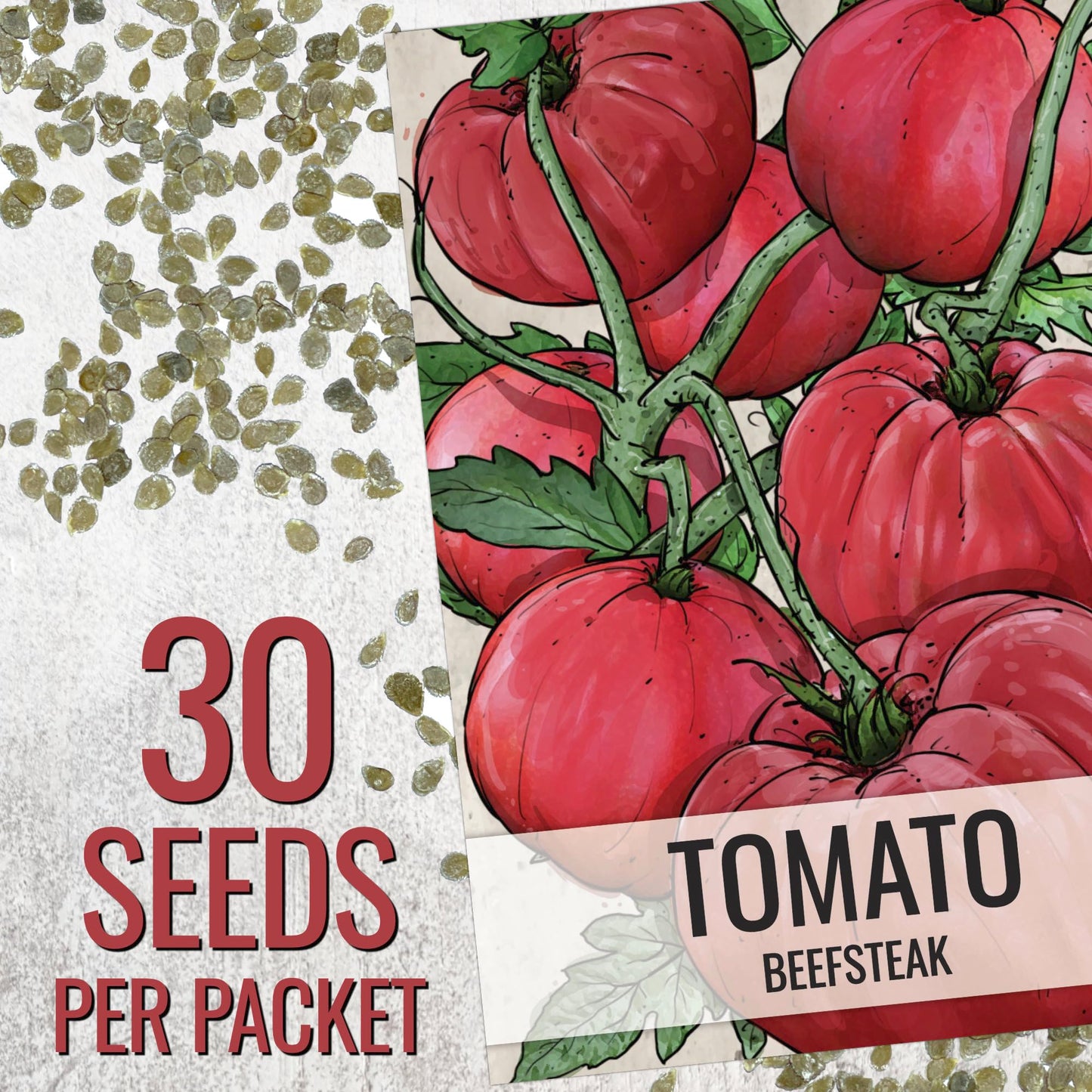 Seed Needs Tomato Seeds for Planting Indeterminate True Beefsteak Tomatoes - Non-GMO Heirloom & Untreated Vegetable Seed to Plant a Home Grown Outdoor Veggie Garden (5 Packs)