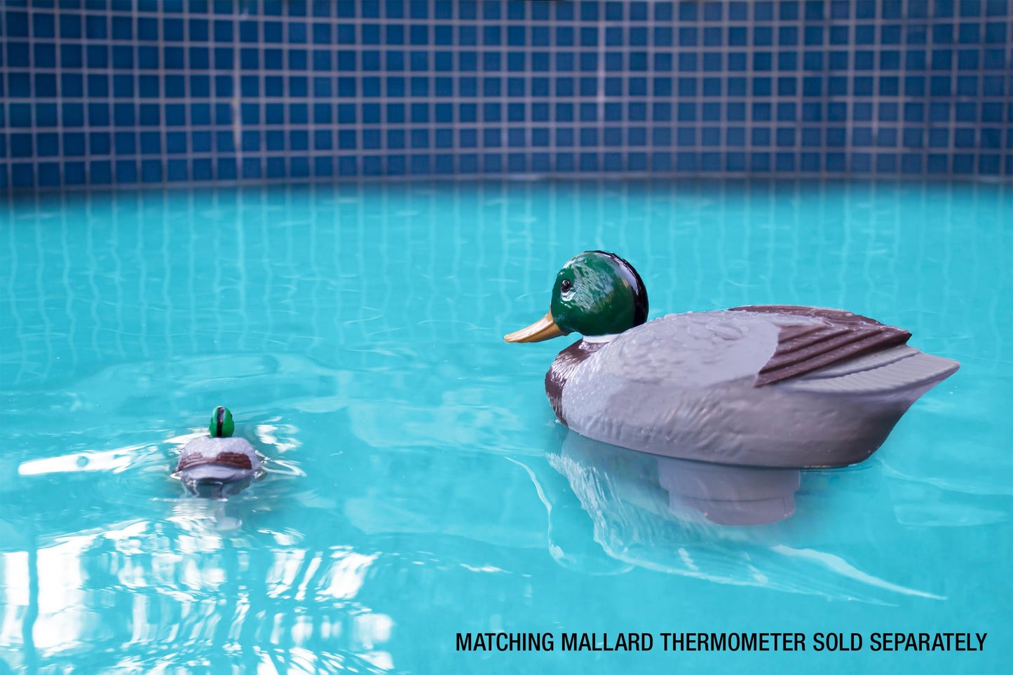 Poolmaster Adustable Chlorine Dispenser for Swimming Pools and Spas, Mallard