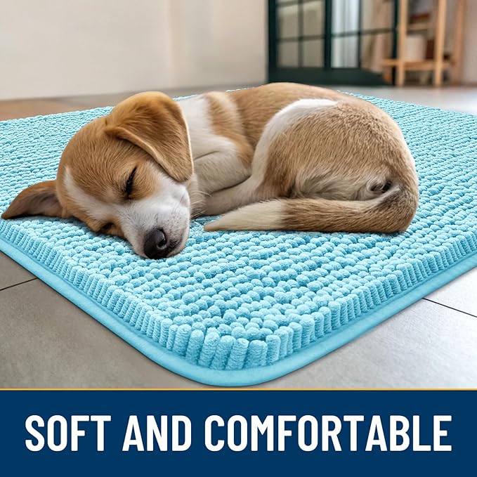 Smiry Dog Door Mat for Muddy Paws 30x20, Absorbs Moisture and Dirt Doormat, Non-Slip Washable Quick Dry Chenille Front Door Mat Indoor Entrance, Entryway Carpet for Inside Floor, Sky Blue