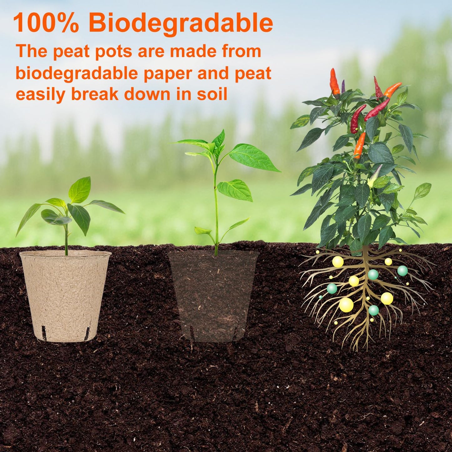 JNYONG 120 Packs 3.15 Inch Peat Pots,Biodegradable Pots for Seedlings with Drainage Holes, Garden Germination Nursery Pots with 100Pcs Plant Labels