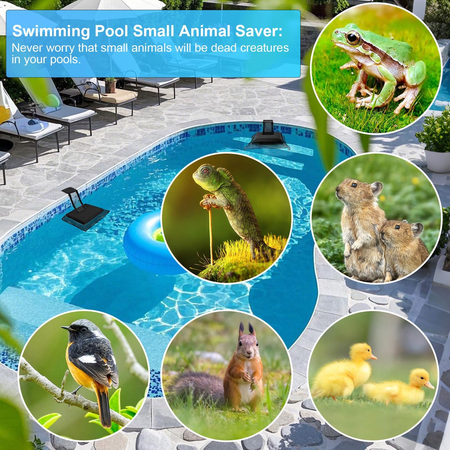 Weallere Animal Saving Escape Ramp,Animal Saver for Swimming Pool Critter, Rescue for Toads, Lizards, Ducks, Snakes, Chipmunk, Mice, Blue 2pcs
