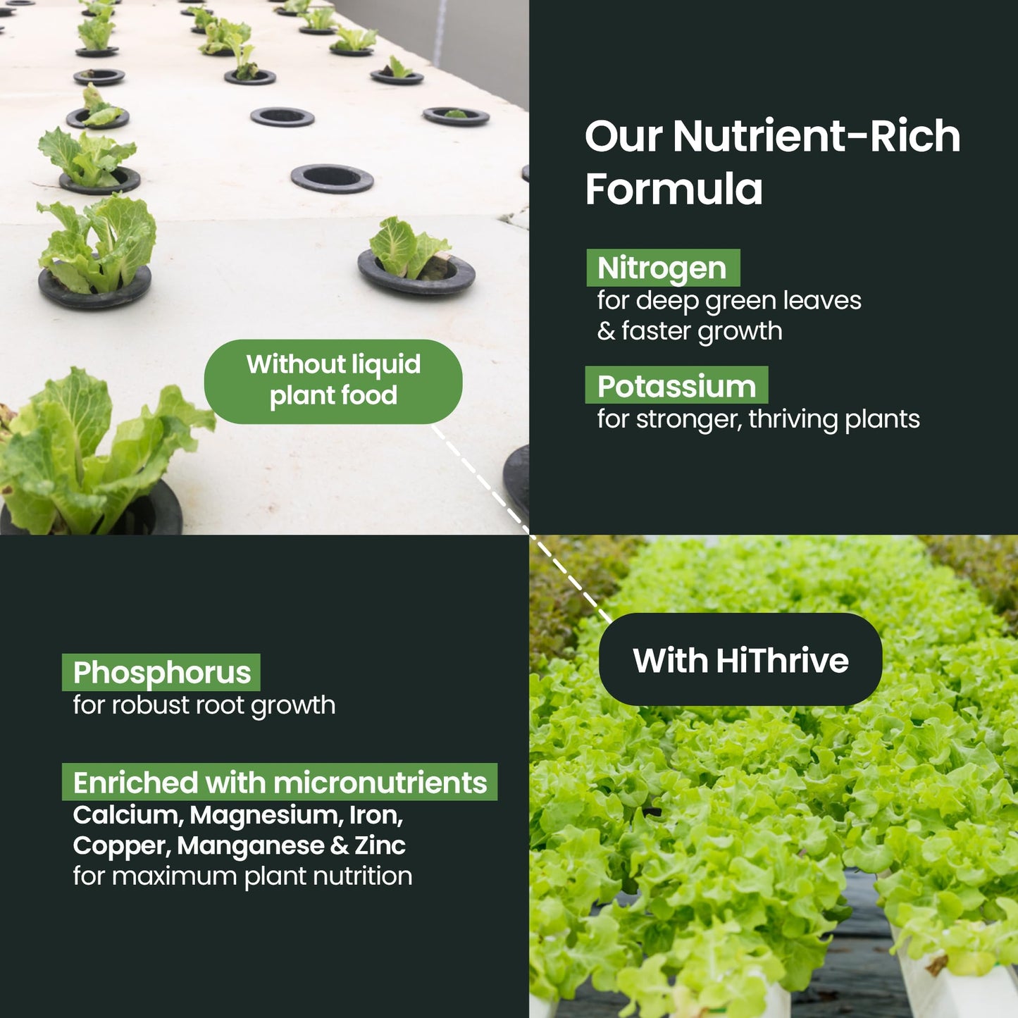 32oz Aeroponics & Hydroponics Liquid Plant Food - Up to 96 Feedings - Rich in Hydroponic Nutrients, Ideal Hydroponic Plant Food & Liquid Fertilizer for Indoor and Outdoor Hydroponics Growing Systems