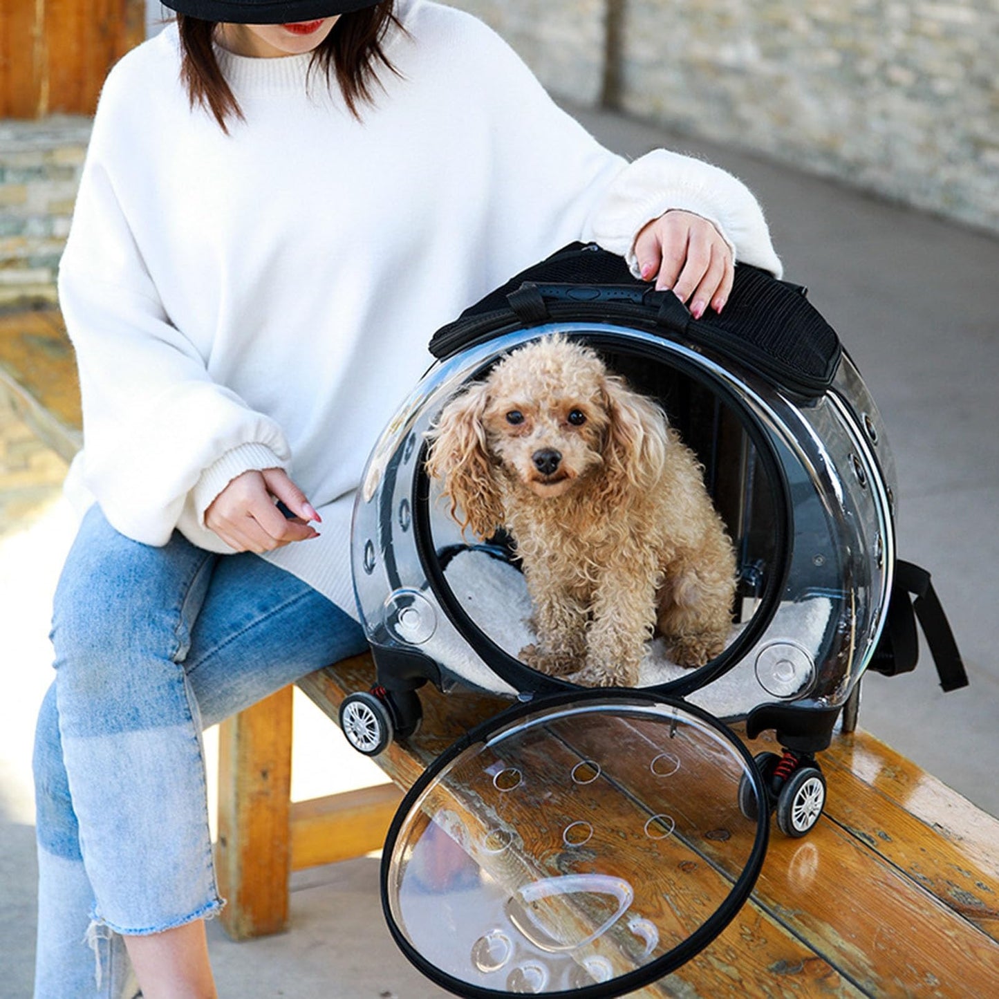 gihusrzx Pet Trolley Case with Upgraded Detachable Silent Wheels, Clear Ventilation Holes Cat Dog Carrier, Cat Dog Carrier with Telescopic Handle, Perfect for Traveling/Taking a Walk Black