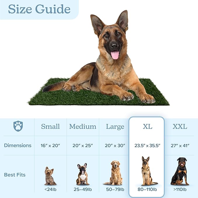 Artificial Grass Puppy Pee Pad for Dogs and Small Pets - Set of Three 35.5X23.5 Inch, Reusable 4-Layer Turf Pads for Dogs - Indoor and Outdoor Fake Grass Potty Pet Supplies by PETMAKER