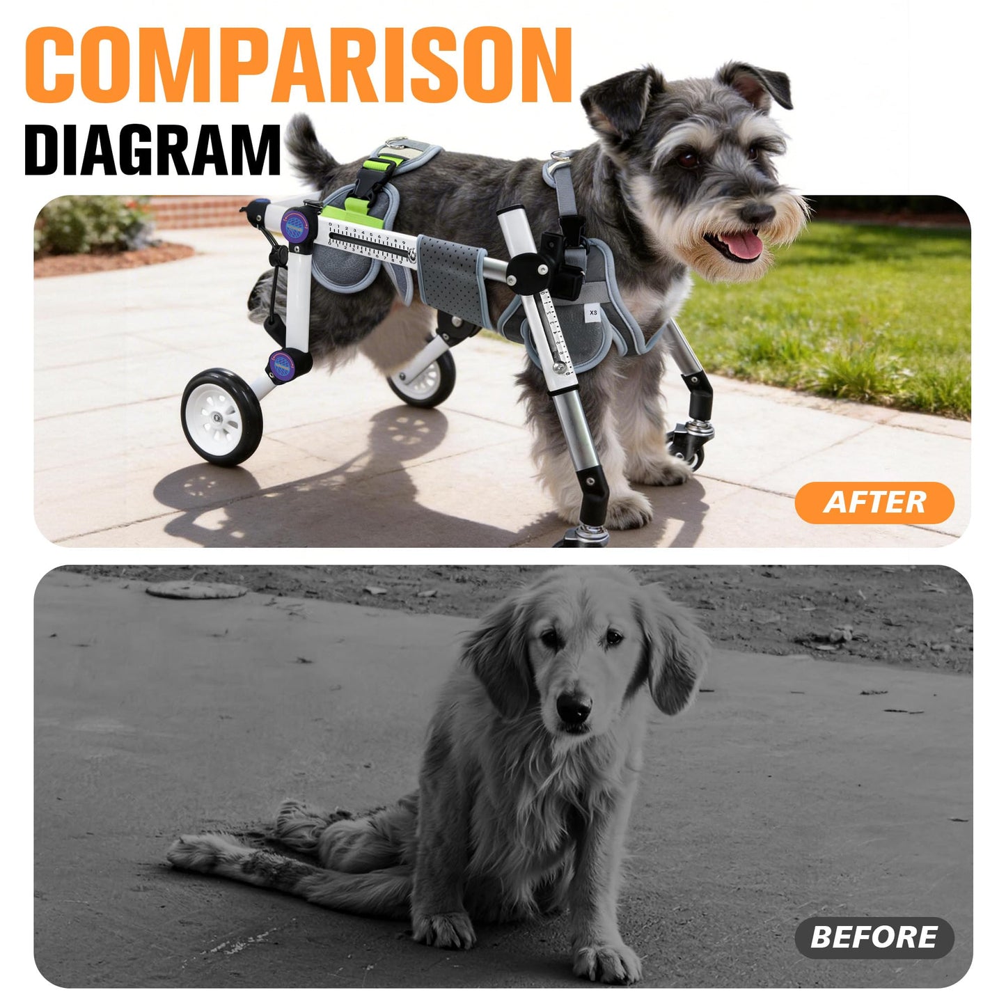 LetPetRun Dog Wheelchair 4 Wheels Adjustable, Full Body Support Dog Cart for Front & Rear Legs, Lightweight Mobility Aid for Disabled Small Dogs (XSLW for 17.5-33.5lbs)
