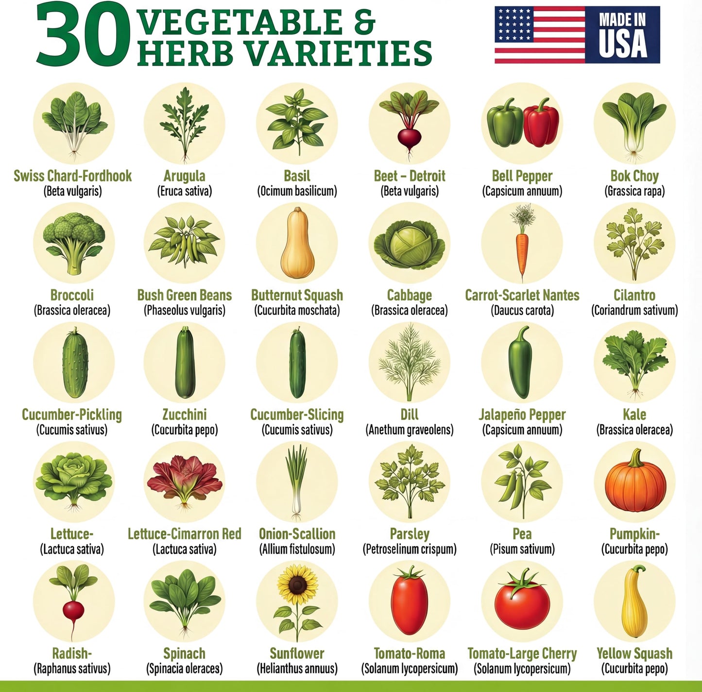 Culinary Vegetable & Herb Seeds Variety Pack - 30 Heirloom Non-GMO Garden Seeds for Planting, Seed Kit with Tools, Made in USA