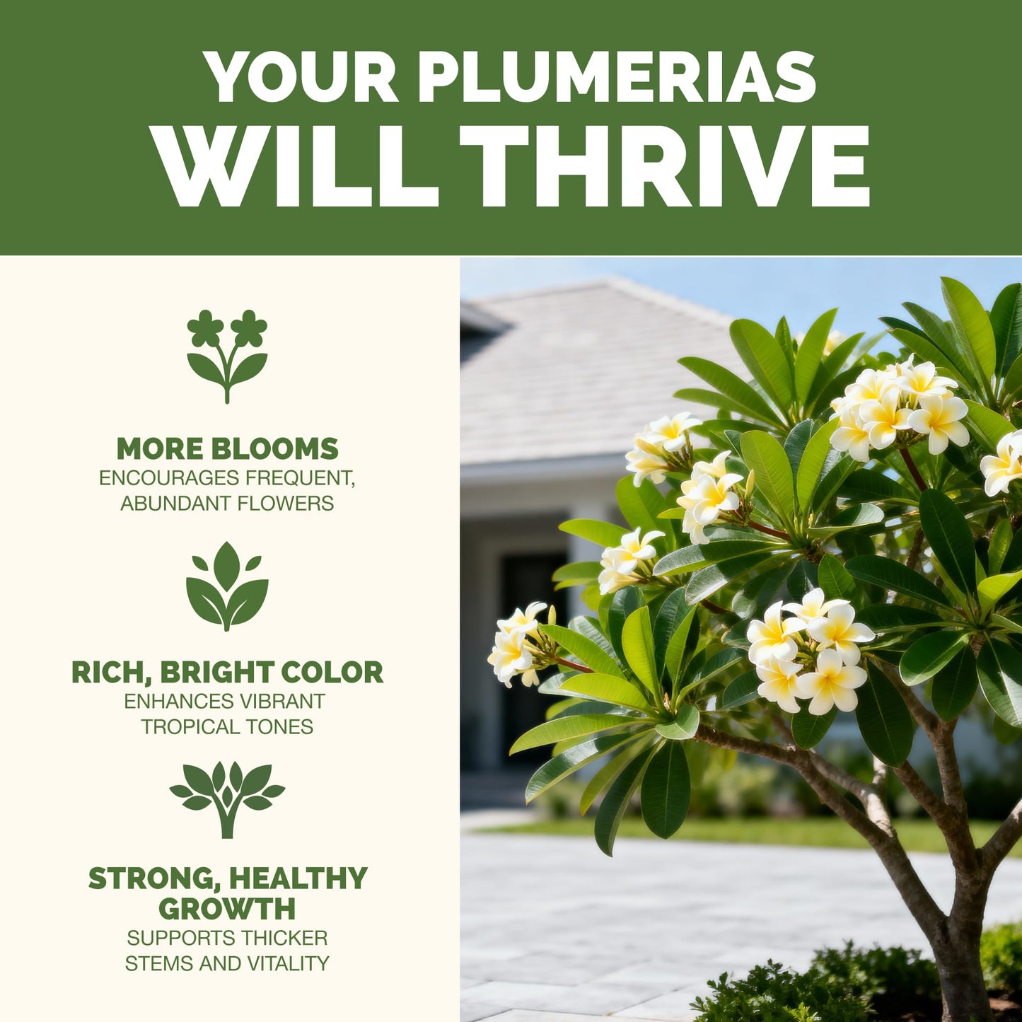 Plumeria Fertilizer – Liquid Plant Food for More Blooms, Healthy Tropical Growth & Stronger Root Development, 1 Gallon