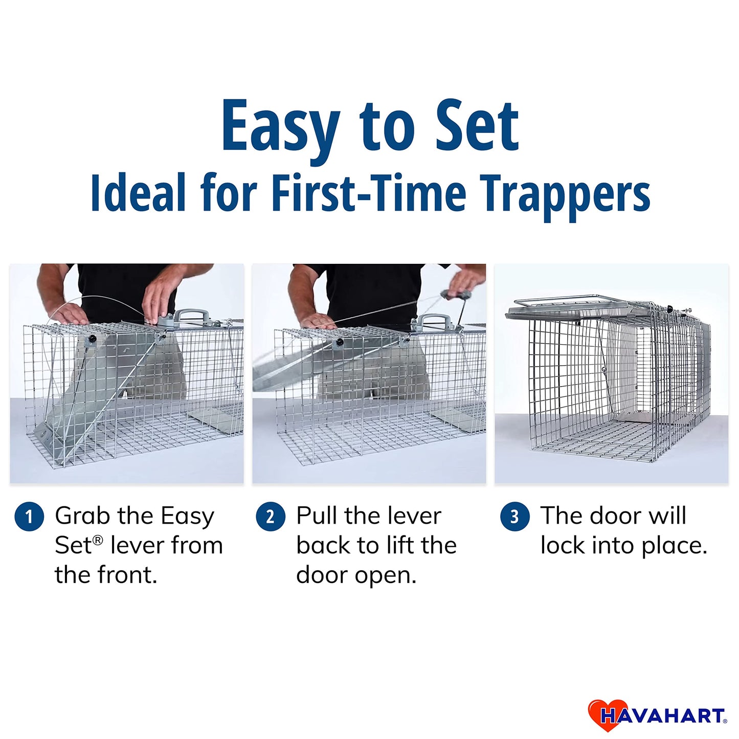 Havahart Easy-Set Catch and Release Small 1-Door Humane Live Animal Trap for Squirrels, Rabbits, Skunks, and Other Small Animals - 1083