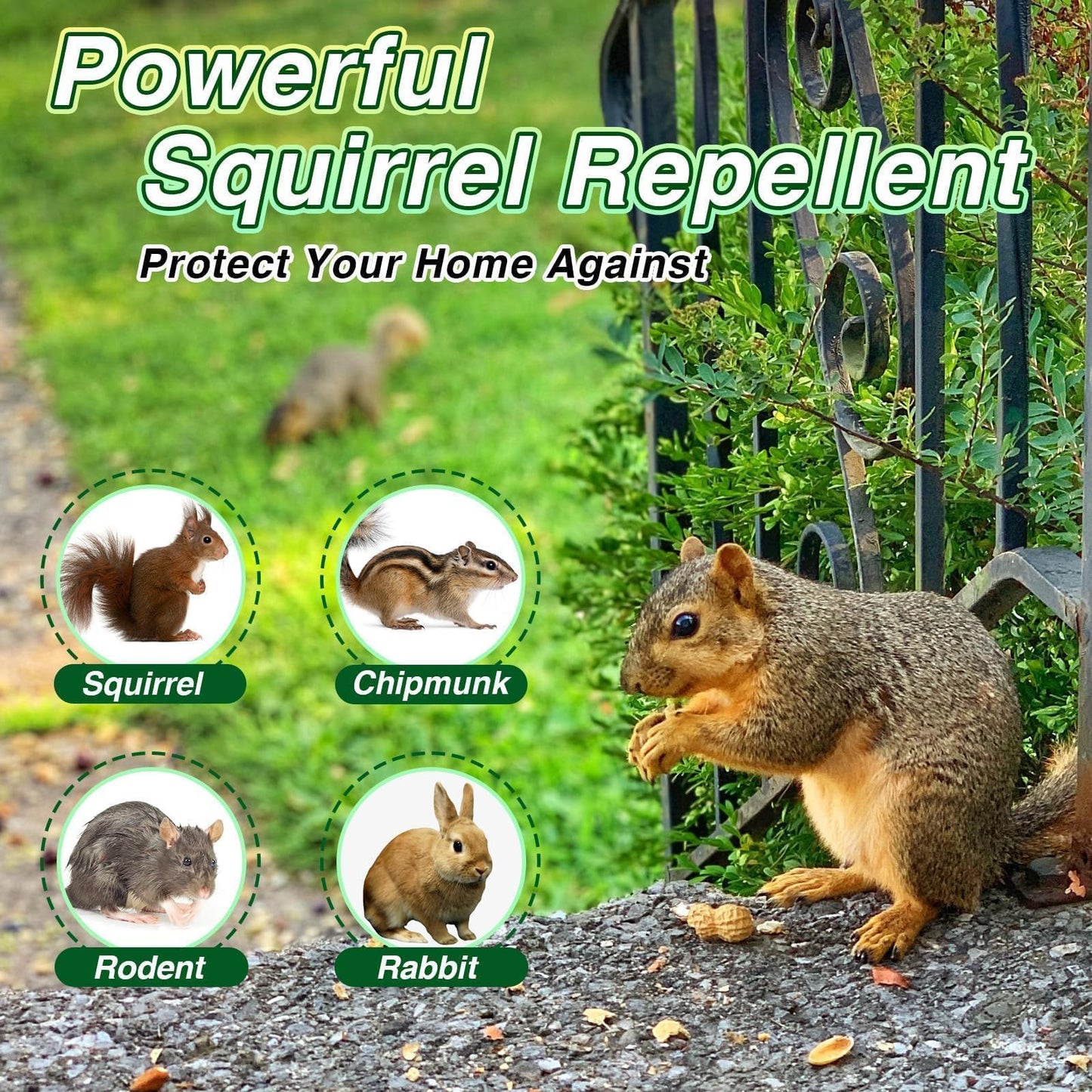 Pblovylu 24 Pack Squirrel Repellent Balls, Peppermint Oil Squirrel Deterrent for Groundhog Outdoor & Attic Use Squirrel Repeller for Garage, Garden, Safe for Family & Pets
