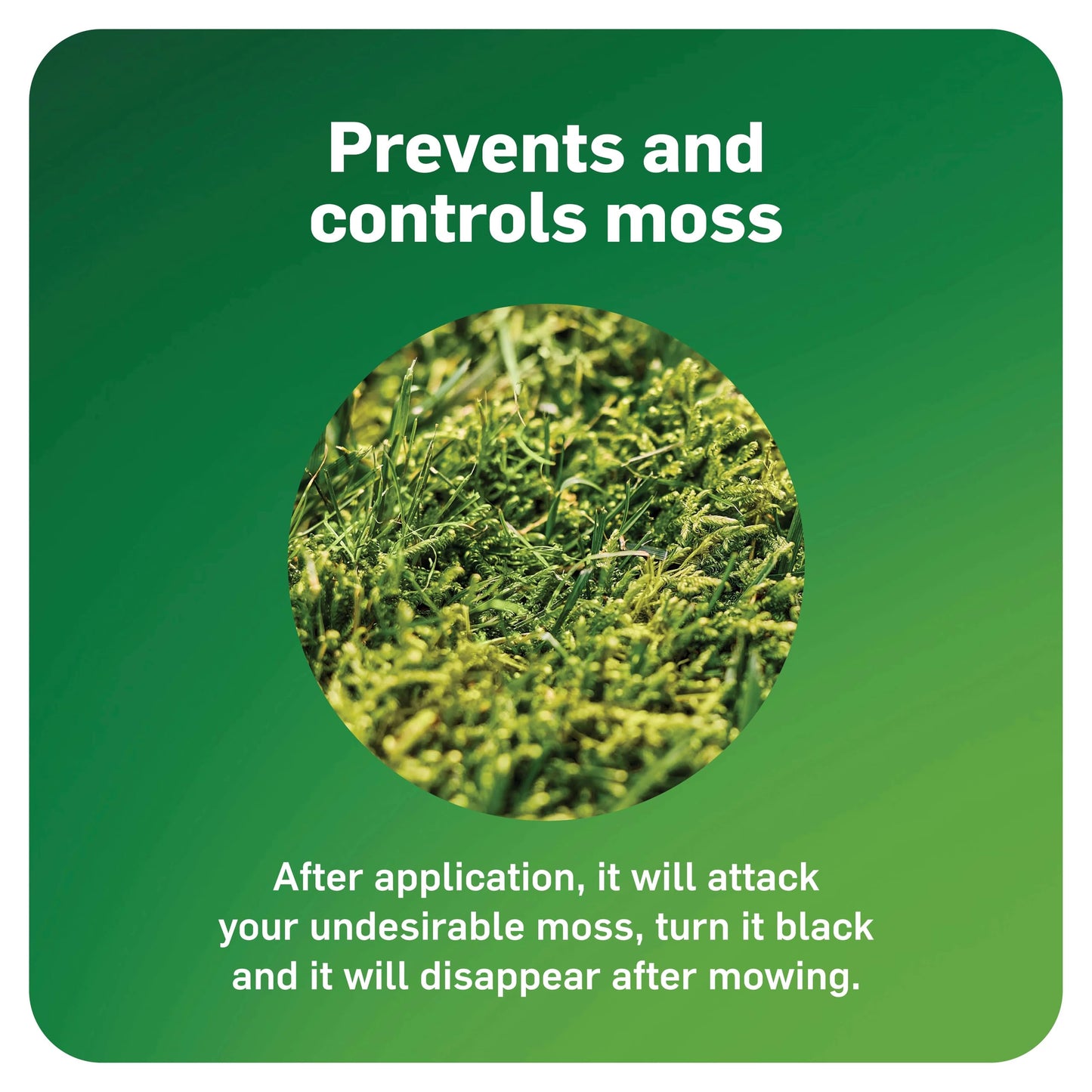 Scotts MossEx, Moss Killer for Lawns, Easy-to-Use Shaker Jug, Contains Fertilizer to Green Grass, 4.59 lbs.