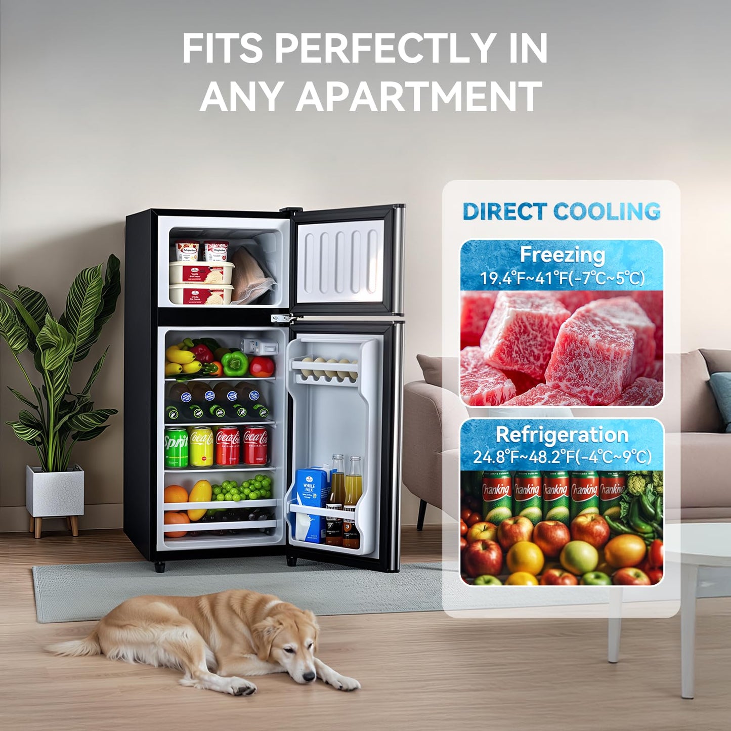Anypro 4.0 Cu.Ft Fridge with Freezer, Double Door Refrigerator with 6 Level Thermostat, Silver