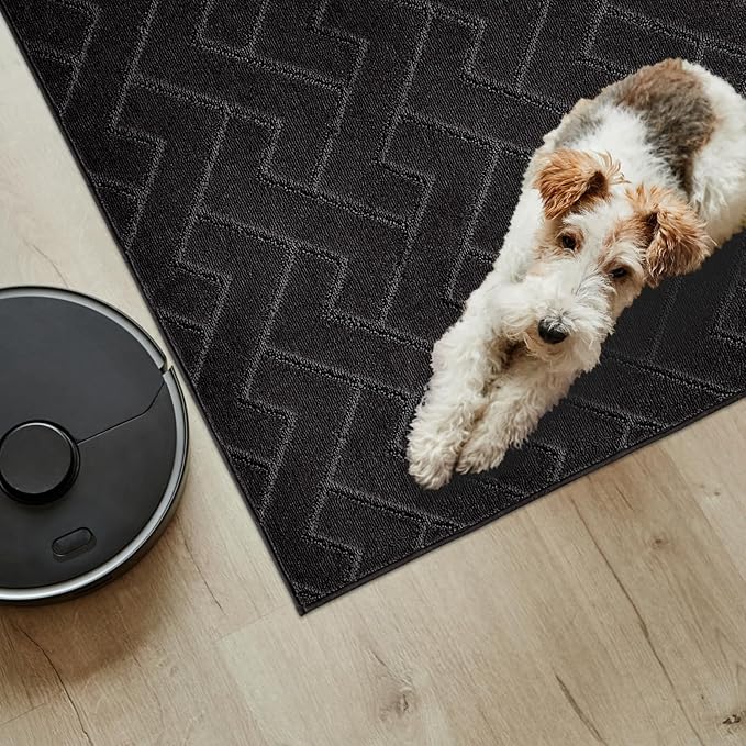 PURRUGS Easy Care Area Rug 4ft x 6ft, Non-Slip Machine Washable Entry Rug, Dog Door Mat, Stain Resistant Accent Rug for Hallway, Bedroom, Living Room and Mudroom, Black