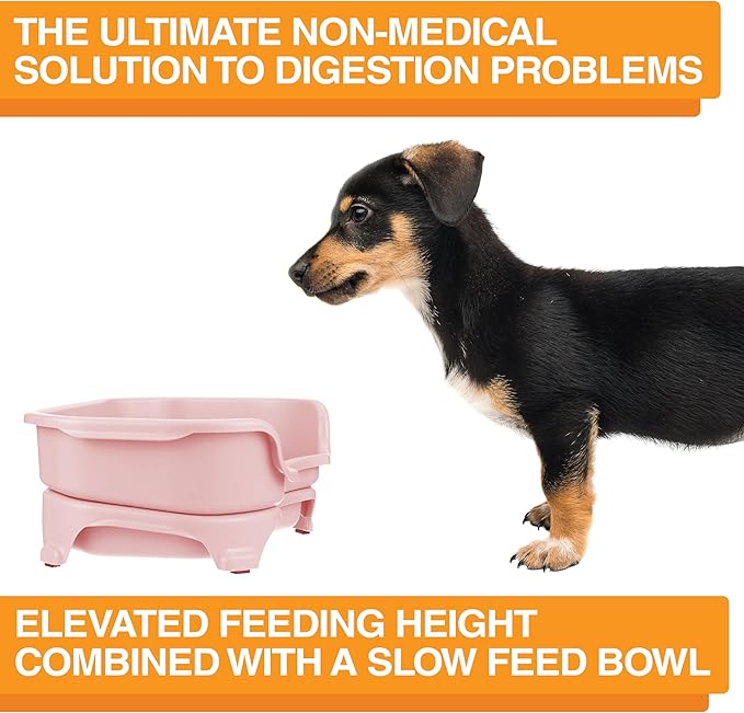 Neater Feeder Express Mess Proof Dog Bowls Elevated for Small Breed – Made in USA – No Spill Raised Slow Feeder Elevated Dog Bowl Stand, Stainless Steel Food and Water Bowl Set, Pink