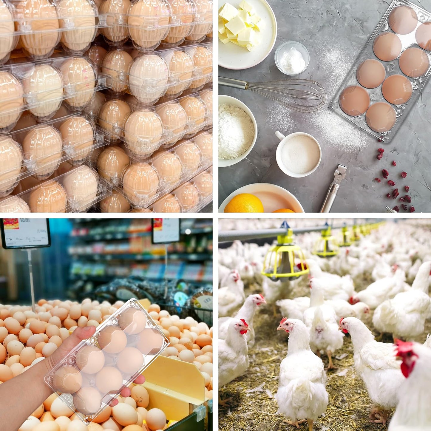KUKLIPJIM 150 Pack Bulk Egg Cartons, Clear Plastic Chicken Egg Holders, Egg Tray Carton Holder for Home & Kitchen, Farm & Market Use, An Eco-Friendly Egg Storage Solution, 8 Grids，(Medium Size)…